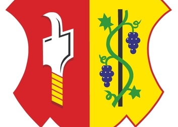 PODĚKOVÁNÍ OBCI VLČNOV