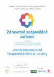 Ocenění Terapeutická dílna