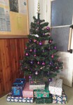 thumbnail_foto krabice od bot