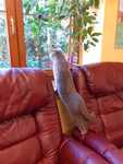 IMG-20230505-WA0029
