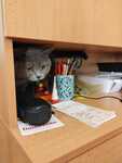 IMG-20230509-WA0041