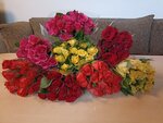 IMG_20230515_084201