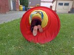 IMG_20240601_161400
