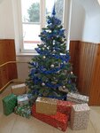 IMG_20241222_141316