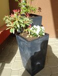 projekt Tesco 25