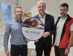 projekt Tesco 25_VIII