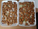 azxl_peceni2805_2025_IV