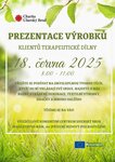 Terapeuticka dilna_prezentace červen 2025
