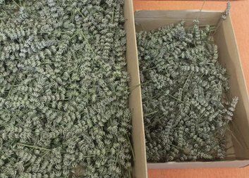 Klienti v Nivnici se věnovali pracovní terapii 